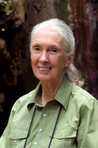 Jane Goodall