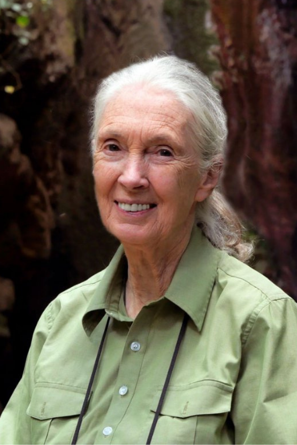 Jane Goodall